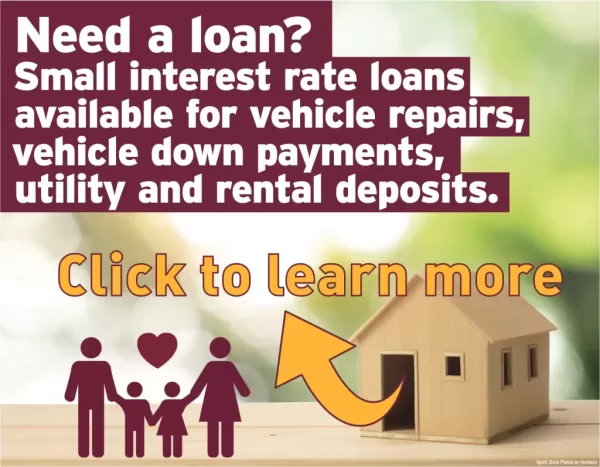 Housing Microloans