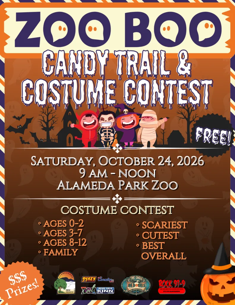 Halloween Night: A Spooktacular Family Fun Night