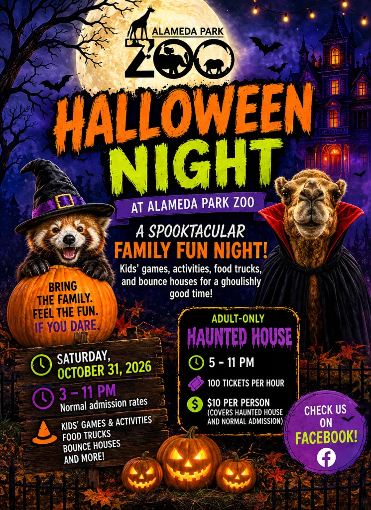 Halloween Night: A Spooktacular Family Fun Night