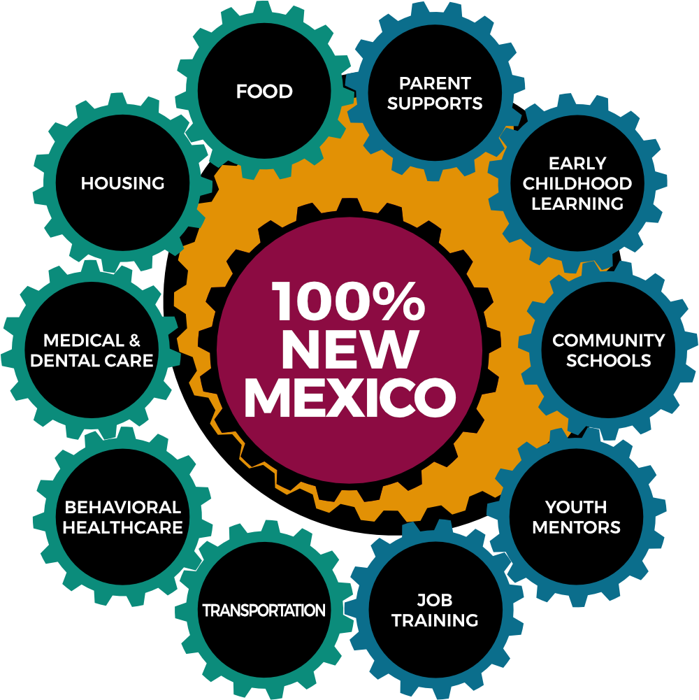 100% Guadalupe County Initiative – Home