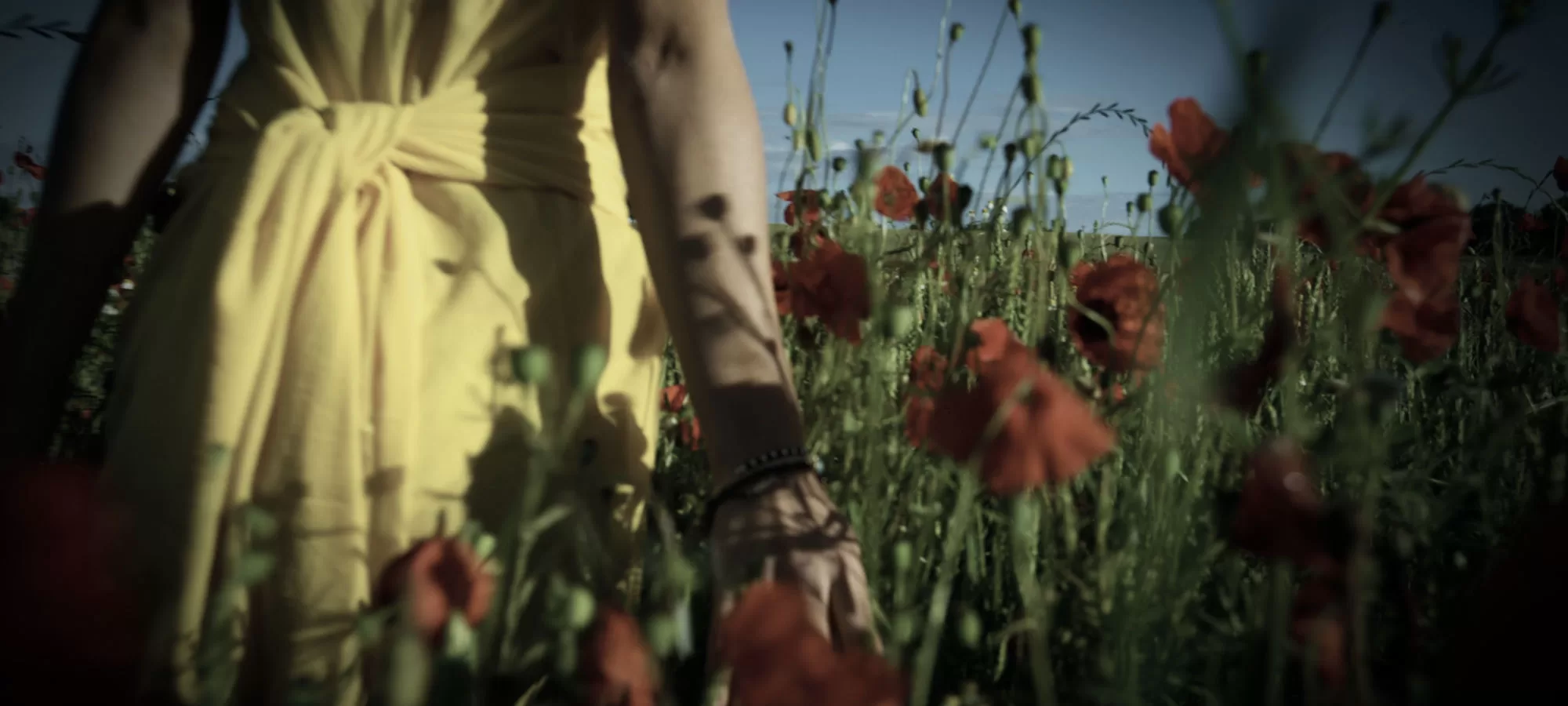 Girl in yellow dress in field of red flowers