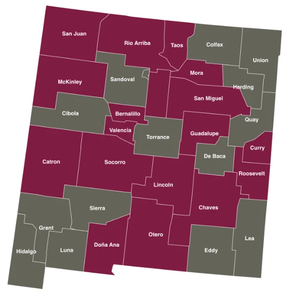 We provide technical assistance to local leaders and teams to help them assess needs, plan and implement solutions, and evaluate progress toward initiative goals. Learn more.